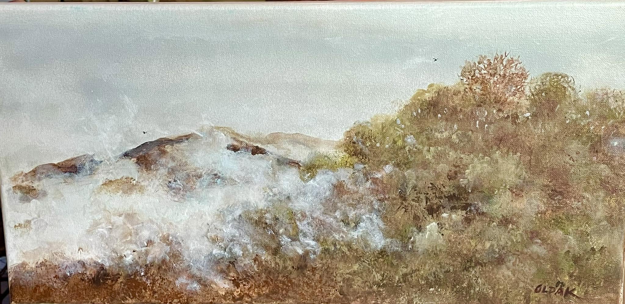 Foggy Mist